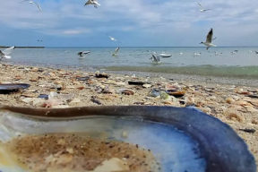 Дневник войны, глава 297. «Нет инструкции, как вести себя в плацкарте, над которым завис шахед»