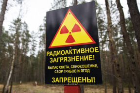 «Чего бы нам ни стоило». Лукашенко хочет вернуть в оборот земли, загрязненные после аварии на Чернобыльской АЭС